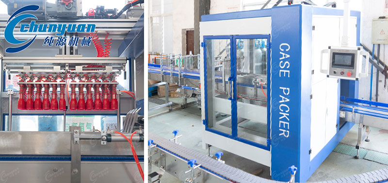 自動抓取式裝箱機(jī)-2 自動抓取式裝箱機(jī)-2